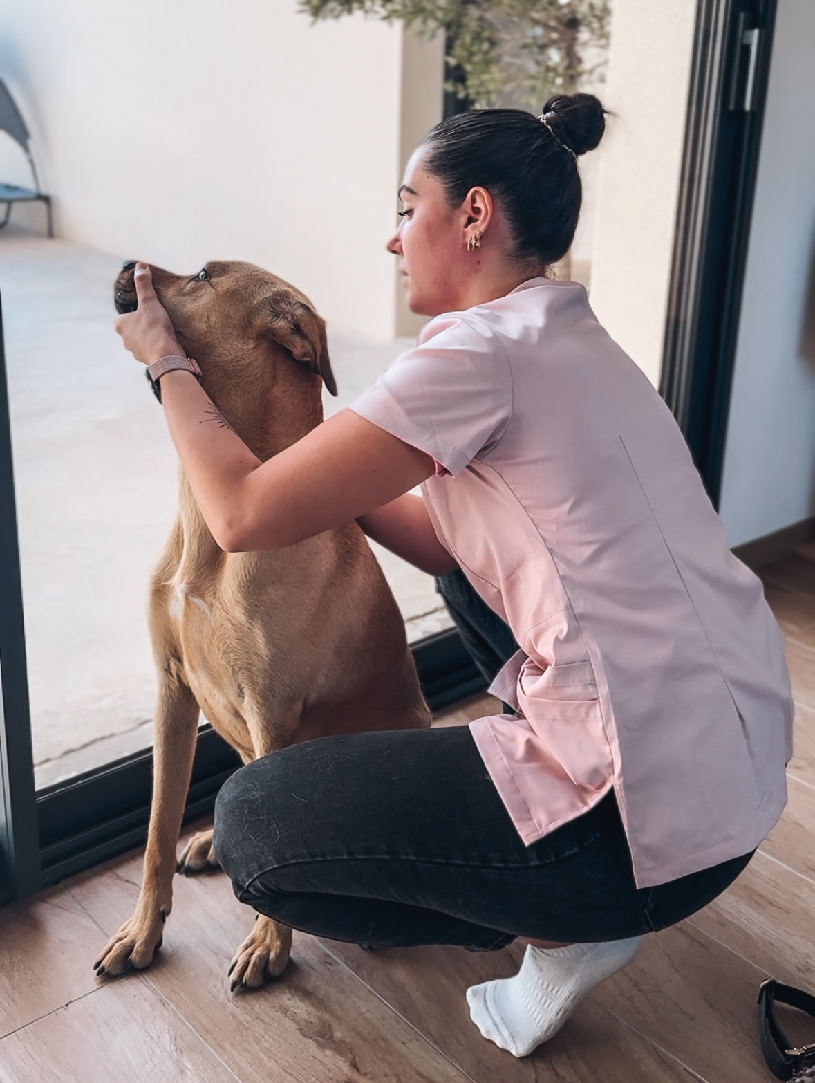 Ostéopathie et animaux sportifs : Prévenir les blessures et optimiser la performance