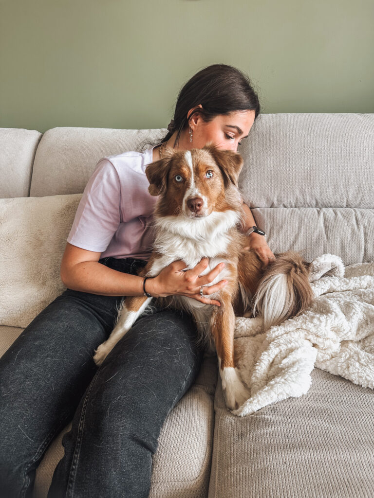 ostéopathe animalier réalisant une séance d'ostéopathie pour chien berger australien