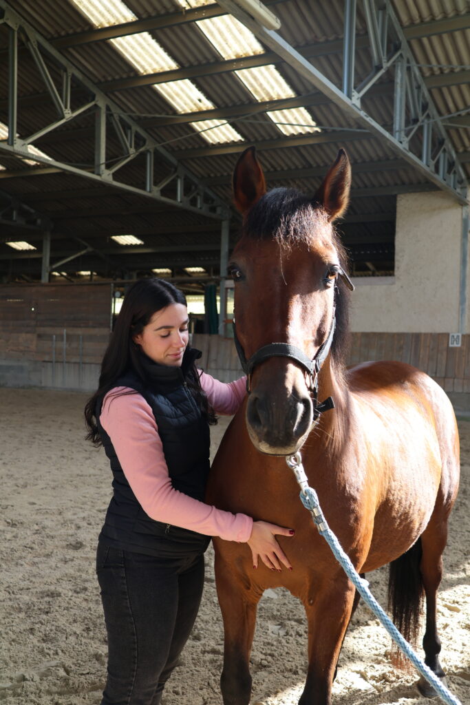cheval ayant des douleurs au dos pratiquant une séance d'ostéopathie équine à Lyon