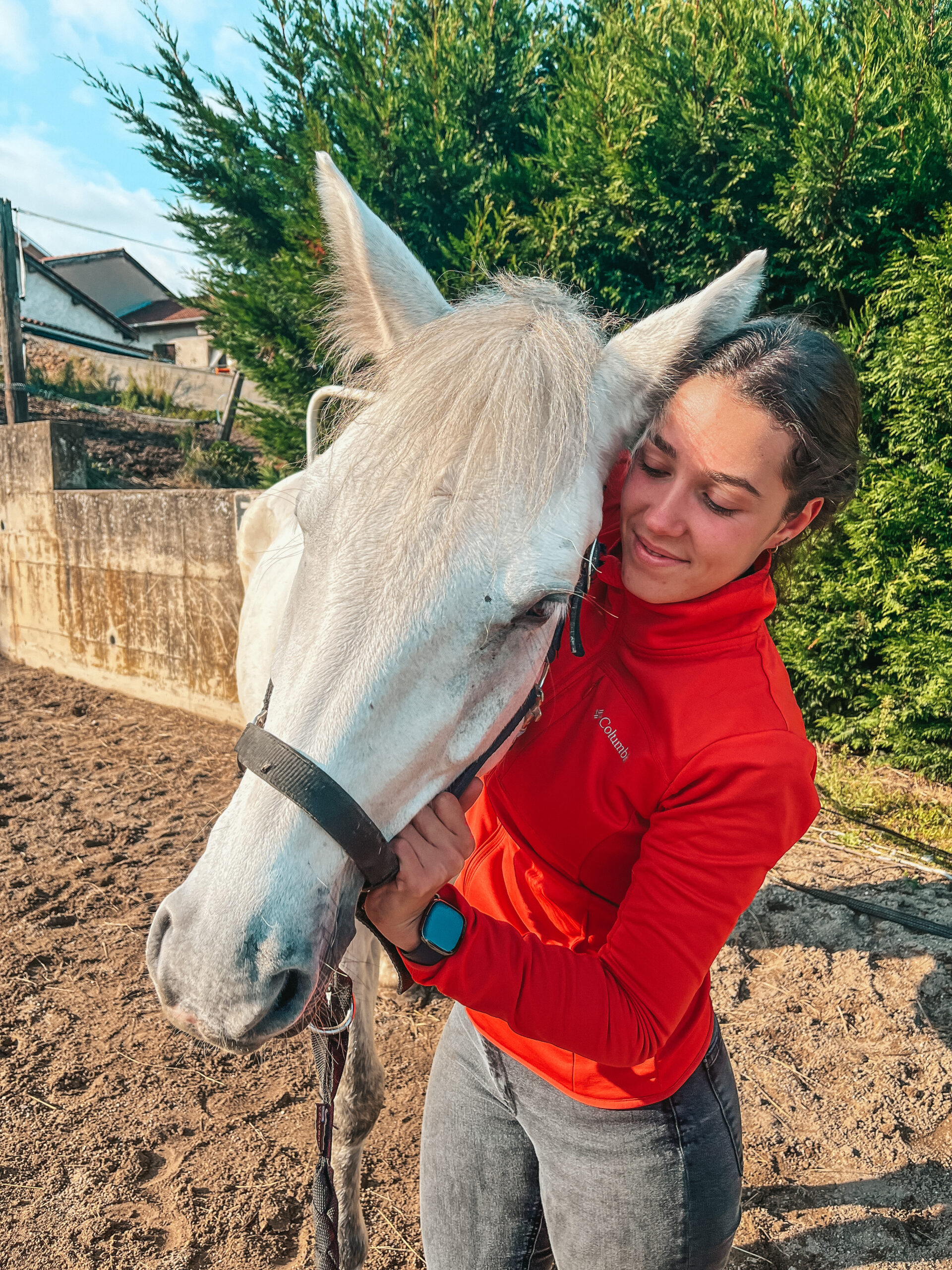 pratique de l'ostéopathie équine sur un cheval à la retraite à lyon