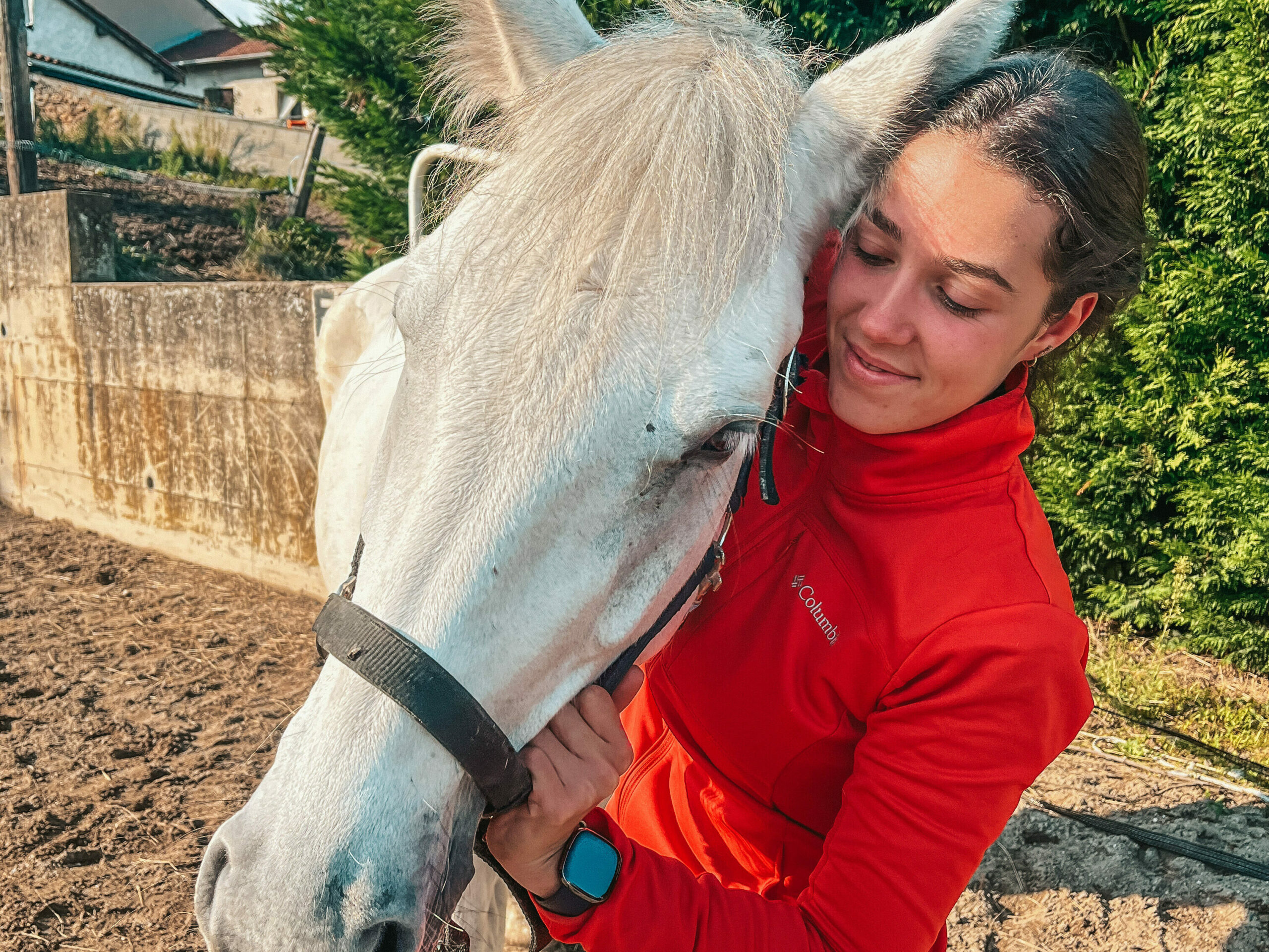 la santé mentale des animaux est étroitement liée à leur bien être physique