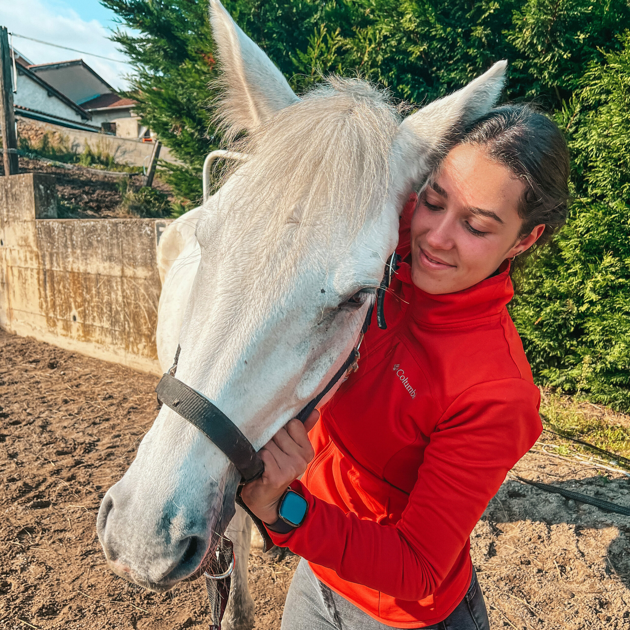 Pourquoi l’ostéopathie animale est étroitement liée à la santé mentale des animaux ?