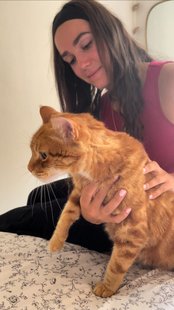 ostéopathe pour chat en consultation sur un chat à Genas