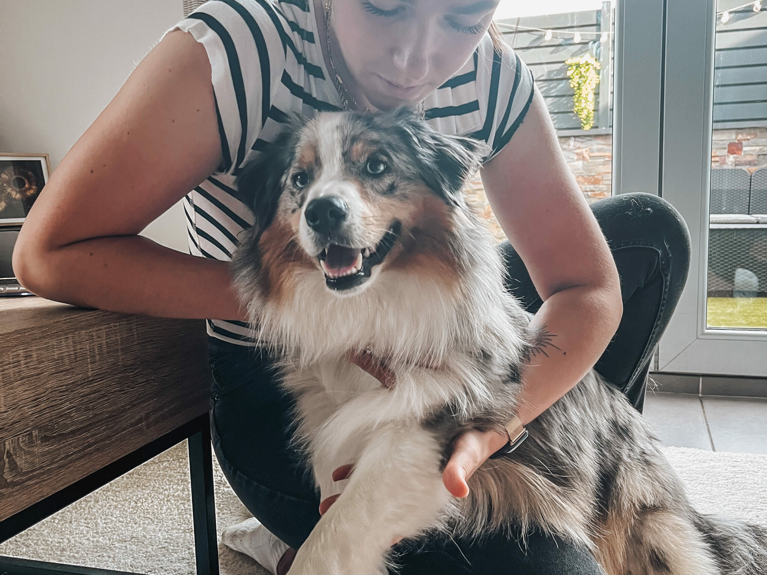chien en séance d'ostéopathie à lyon