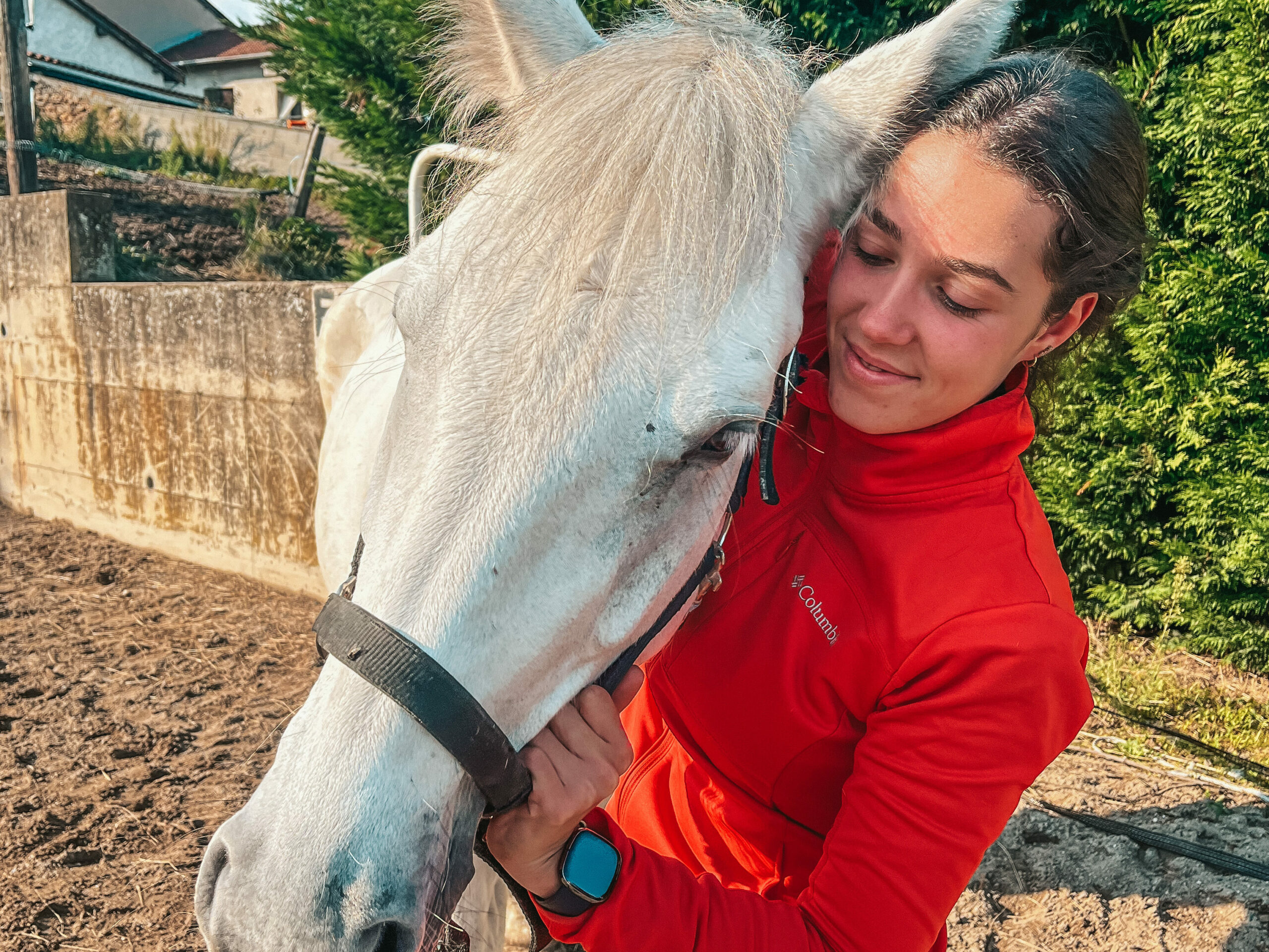 tarifs consultation ostéopathe cheval lyon