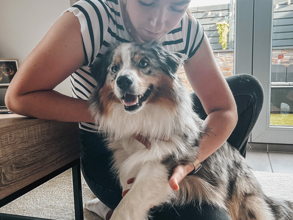 ostéopathe animalier à lyon pour chien consultation à Décines